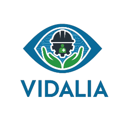 Research into an innovative artificial vision system for occupational risk prevention and monitoring the well-being of dependent elderly people in industrial and social-healthcare settings.